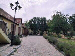 Main (3)